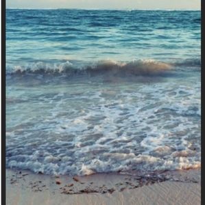 🔸️🔹️SETTING UP SHOP 🔹️🔸️